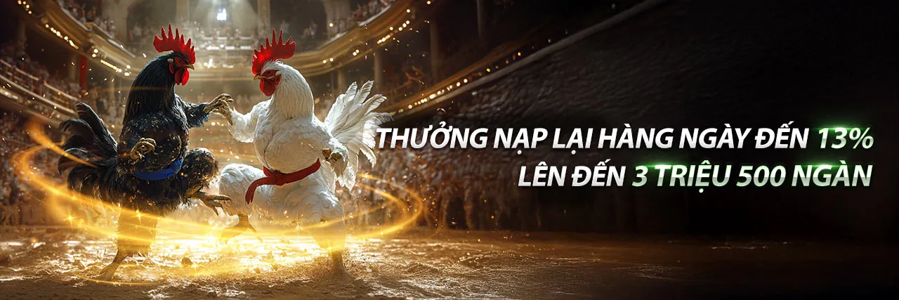 Hình ảnh chính về khuyến mãi cá cược thể thao và chiến thắng